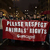 Giornata Internazionale per i Diritti Animali 2007: foto 20 di 20