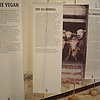 Mostra sulla scelta vegan: foto 02 di 14
