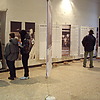 Mostra sulla scelta vegan: foto 06 di 14