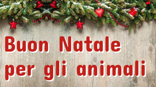 Buon Natale Animali.Nuova Campagna Buon Natale Per Gli Animali Nell Area Volontari Agireora