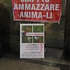 Giornata Internazionale per i Diritti Animali 2008: foto 22 di 24