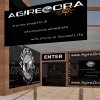 AgireOra su Second Life