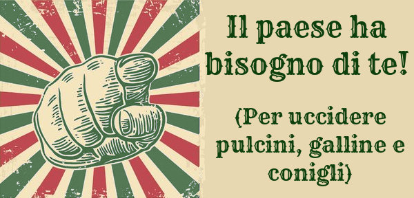 image_480x260