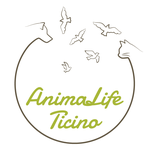avatar dell'utente AnimaLifeTicino