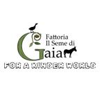 avatar dell'utente ilsemedigaia